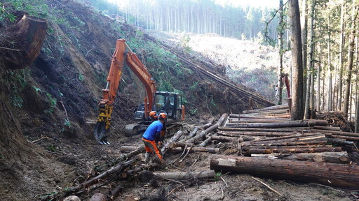 打破林業刻板印象 走入新竹永泰林場 思考永續實踐的可能
