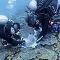 台達電分享聯合國生物多樣性大會成果 目標2025年復育1萬株珊瑚