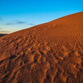 科幻經典《沙丘》真實版 奧勒岡沙丘「地球化」的故事未完待續