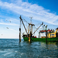 經濟委員會通過《遠洋漁業條例》修正條文 有望杜絕非法漁獲上餐桌