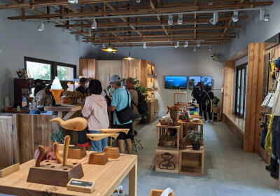 無患子森林融入窗景 林後四林園區林業署「山林製造」首間概念店開幕