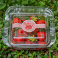 台灣第一個碳標籤認證草莓 台一休閒農場「400g塑膠手提盒草莓」