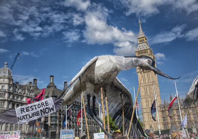 英國大選登場 新政府能重返環境與氣候榮耀嗎？