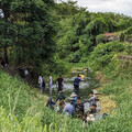 工作假期護水圳 原生種魚類「水打扁」再現五溝水濕地