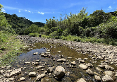 打掉混凝土堰體、鋪上天然石塊 重建遠望坑溪洄游魚兒回家之路