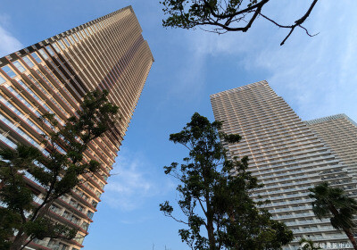 東京海景第一排看房去！台灣房仲沒告訴你的防災撇步有哪些？