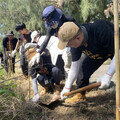 鹽田、蚵學家、水鳥家園 志工嘉義布袋守護濕地奇蹟