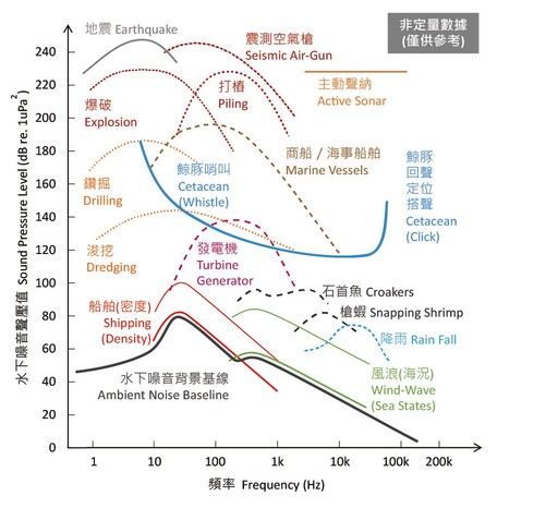 鯨豚觀察員之快問慢答