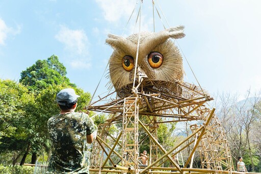 三鳥共聚慶奧萬大30週年 領角鴞、繡眼畫眉、台灣藍鵲竹編藝術11月開展