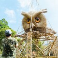 三鳥共聚慶奧萬大30週年 領角鴞、繡眼畫眉、台灣藍鵲竹編藝術11月開展