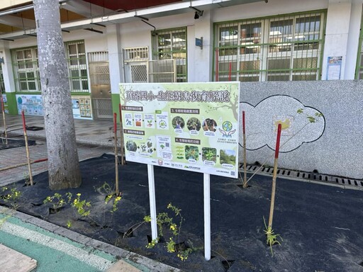 讓山林復育重生 校園生態樹島行動回應綠化解方