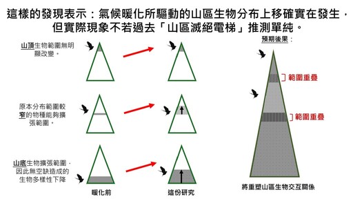 台法學者首證「山區滅絕電梯」理論證據有限 重新定錨暖化影響山區生物研究方向