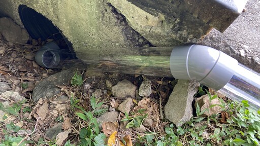水管引導綠島陸蟹媽媽過馬路 生多所防路殺研究登國際期刊