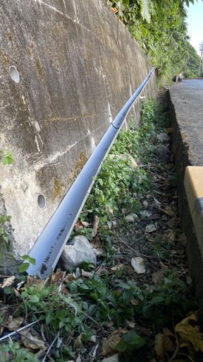 水管引導綠島陸蟹媽媽過馬路 生多所防路殺研究登國際期刊