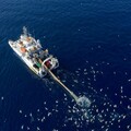 海洋保護區成底拖網熱點 五大環團狀告法、德、義三國