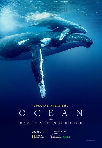 99歲國寶網紅的海洋奇緣 大衛・艾登堡新作《海洋》6月7日串流平台首播