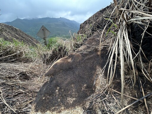 陽明山火災疑國研院空品感測器鋰電池出事 國科會︰會用「最安全方法」重啟