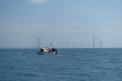 一片海域擠六座風場 環團呼籲彰化風場航道以東停止開發