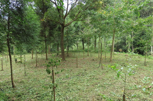 林保署推陸域「保育共生地」認證 與OECM連結呼應30×30