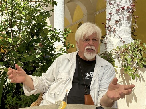 為了海洋遭關押近半年,值得嗎? 專訪反捕鯨鬥士Paul Watson︰這是改變世界必經之路