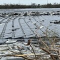 嘉義布袋新塭光電被颱風吹翻毀損 業者昨日進場清理