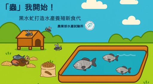 水試所用蟲取代魚粉 黑水虻「不吃素」更營養