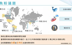 水試所用蟲取代魚粉 黑水虻「不吃素」更營養