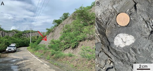 惡地變寶地:台灣團隊發現月世界出土百萬年前海膽化石