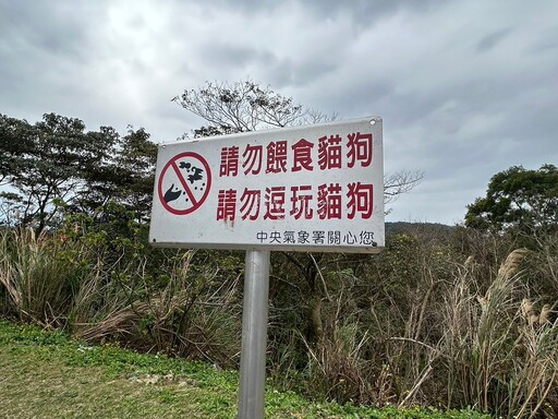 遊蕩動物禁餵了嗎？ 盤點國家公園、濕地、國有林的規定