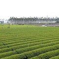名間焚化爐明日環評 縣府為何要蓋？ 從垃圾數據、調度政策看端倪