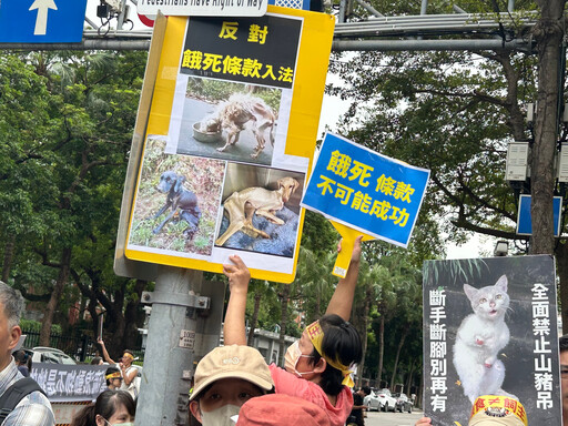 動保團體農業部前抗議喊「餵食無罪」 野保團體︰政策應回歸科學和事實