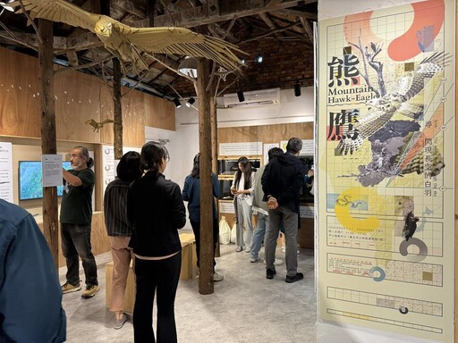 神秘的山林之王、獵物提重挑戰 《尋・閃現長空的白羽－熊鷹》特展揭幕