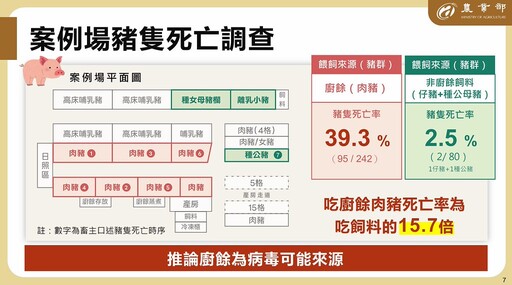 豬肉運輸屠宰解禁、地方局處長免職 非洲豬瘟案件六大未解問題