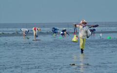 最親人的保護區？ 守著山海，也要顧腳下濕地——看國家公園署如何接住挑戰