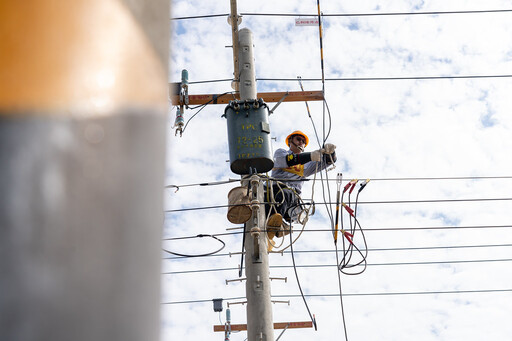 颱風吹倒電線桿 地下化會是電網韌性解方嗎？