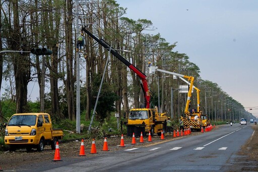 颱風吹倒電線桿 地下化會是電網韌性解方嗎？