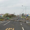 颱風吹倒電線桿 地下化會是電網韌性解方嗎？