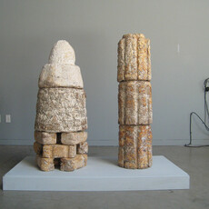 真菌也會蓋房子？ 科學家研發出會自我修復的生物材料