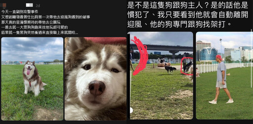 人設翻車！網紅放任愛犬四處攻擊 「被爆料才道歉」網轟：人品有多爛