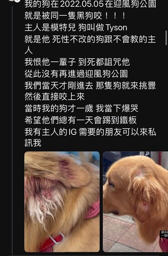 人設翻車！網紅放任愛犬四處攻擊 「被爆料才道歉」網轟：人品有多爛