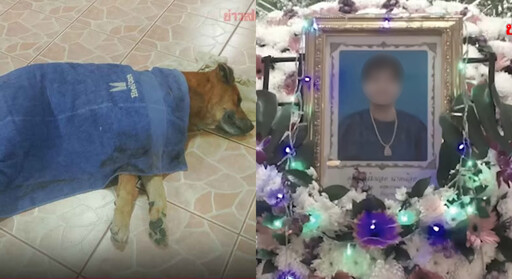 捨不得主人一個人走…主人過世「愛犬悲躺棺材旁」 幾天後悲傷過度也走了