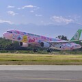 Hello Kitty粉尖叫！長榮「粉萌機」亮相 高雄-香港班機一次看