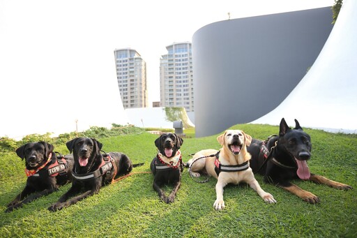 台中4警犬「服役7年」光榮退役！近百人搶領養 經審核找到新家了