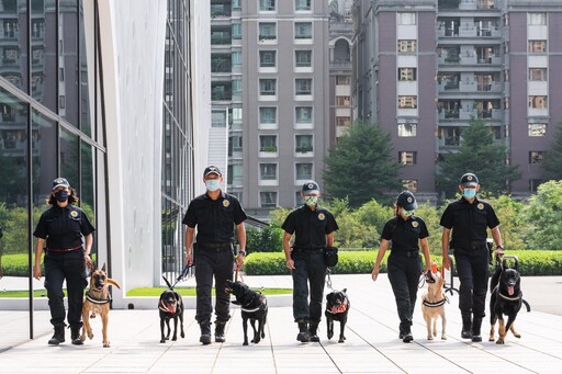 台中4警犬「服役7年」光榮退役！近百人搶領養 經審核找到新家了