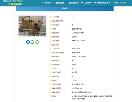 比特犬Lucky希望破滅…嘉義飼主改口「沒辦法養」 蔣萬安回應了