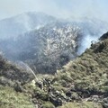 陽明山小油坑惡火延燒50公頃！黑鷹出動3次吊水滅火 疑感測器釀災