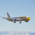 酷航大增班！新加坡飛台北、首爾「每週5班」變每日1班