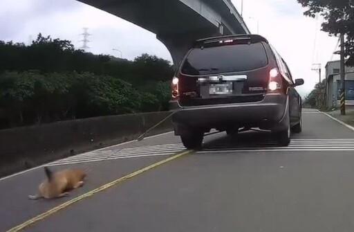 驚悚！狗綁後車廂拖行傷重見骨 飼主辯「疏忽」遭重罰
