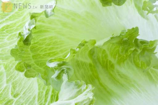 「生菜包肉」竟藏致命危機 中國婦腹痛就醫驚見20cm蛔蟲蠕動