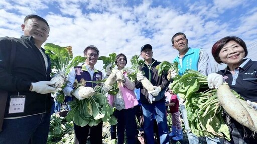 台電福委會與在地小農契約耕作 彰化區處在三條國小旁千人拔蘿蔔